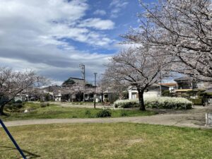 名古屋港区のお花見穴場スポットは惟信第一公園！魅力と駐車場情報を紹介