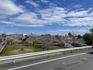 名古屋港区のお花見穴場スポットは惟信第一公園！魅力と駐車場情報を紹介