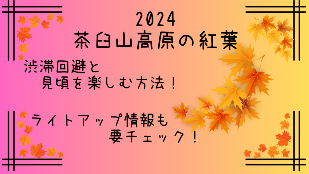 茶臼山高原の紅葉｜混雑を避ける方法３選！ライトアップや見頃も