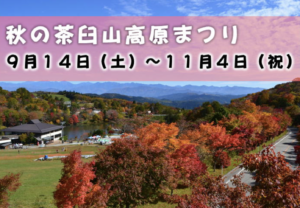 茶臼山高原の紅葉｜混雑を避ける方法３選！ライトアップや見頃も